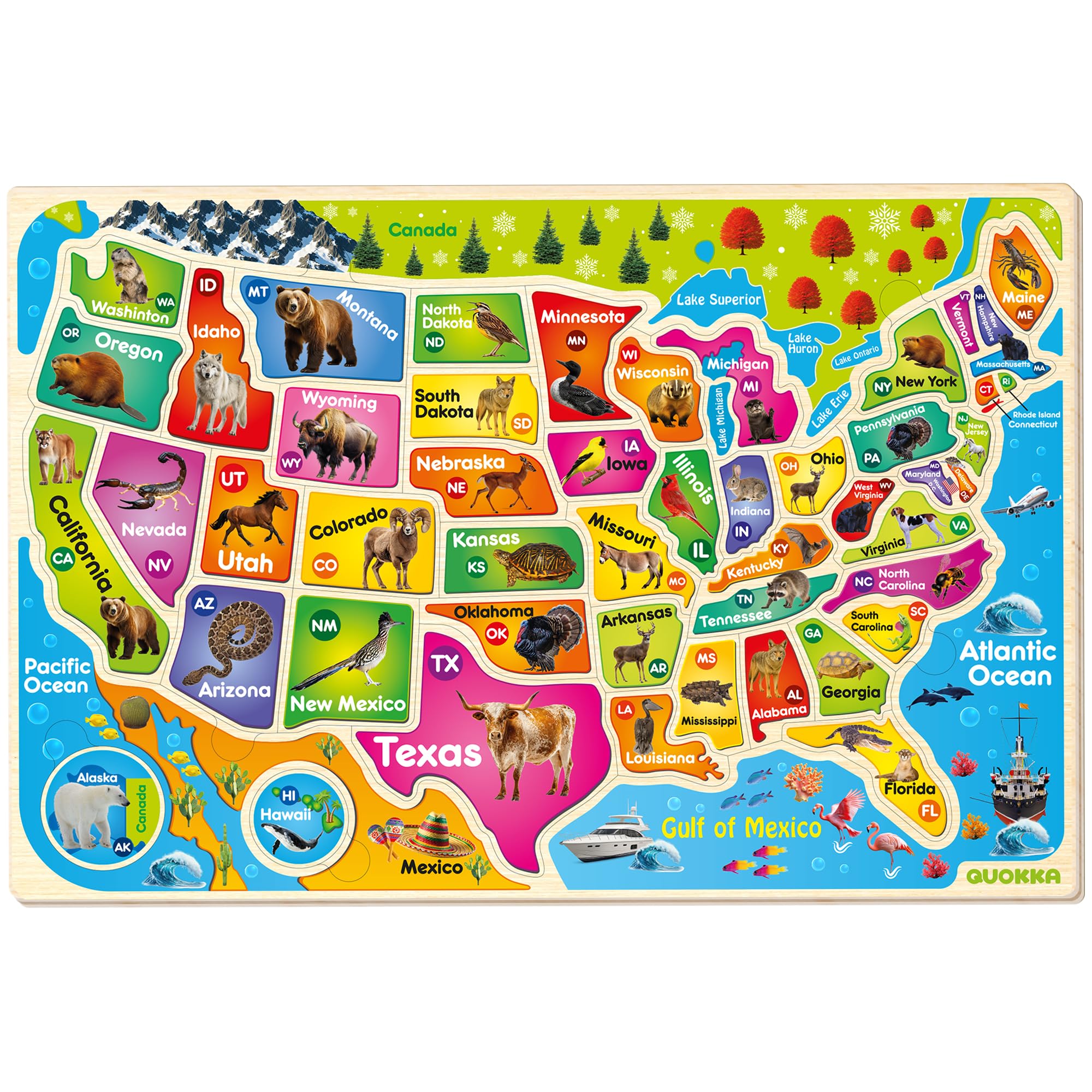 QUOKKA United States wooden map puzzle for kids | Mubboo