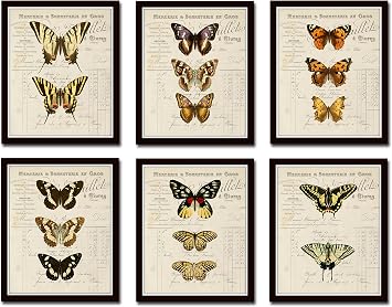 Belle Maison Art French Butterfly Study Print Set No.1 Set of 6 Giclee Butterfly Prints - Unframed