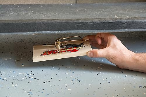 Miniatura 4 de Tomcat Trampa para ratas (madera), 1 trampa (paquete de 2)