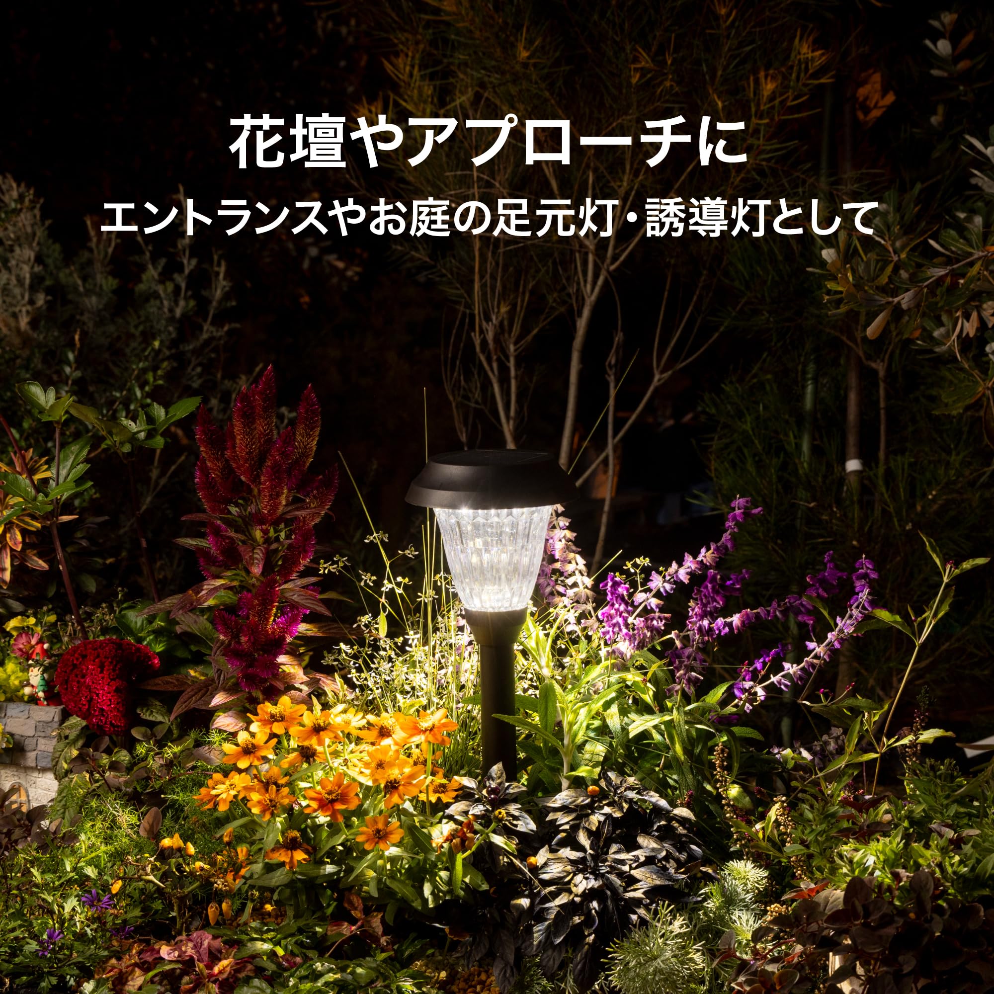 Amazon.co.jp: タカショー ソーラーライト 屋外 ソーラー パワーパス