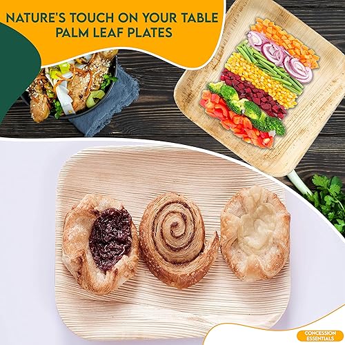 Miniatura 6 de Concession Essentials Platos de hoja de palma (25 unidades)  Vajilla desechable, platos compostables y biodegradables (6 x 5 platos rectangulares)