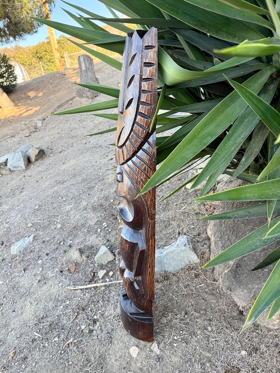 Hawaiian Kanaola Tiki Half Statue hand Carved 39"x 10"in