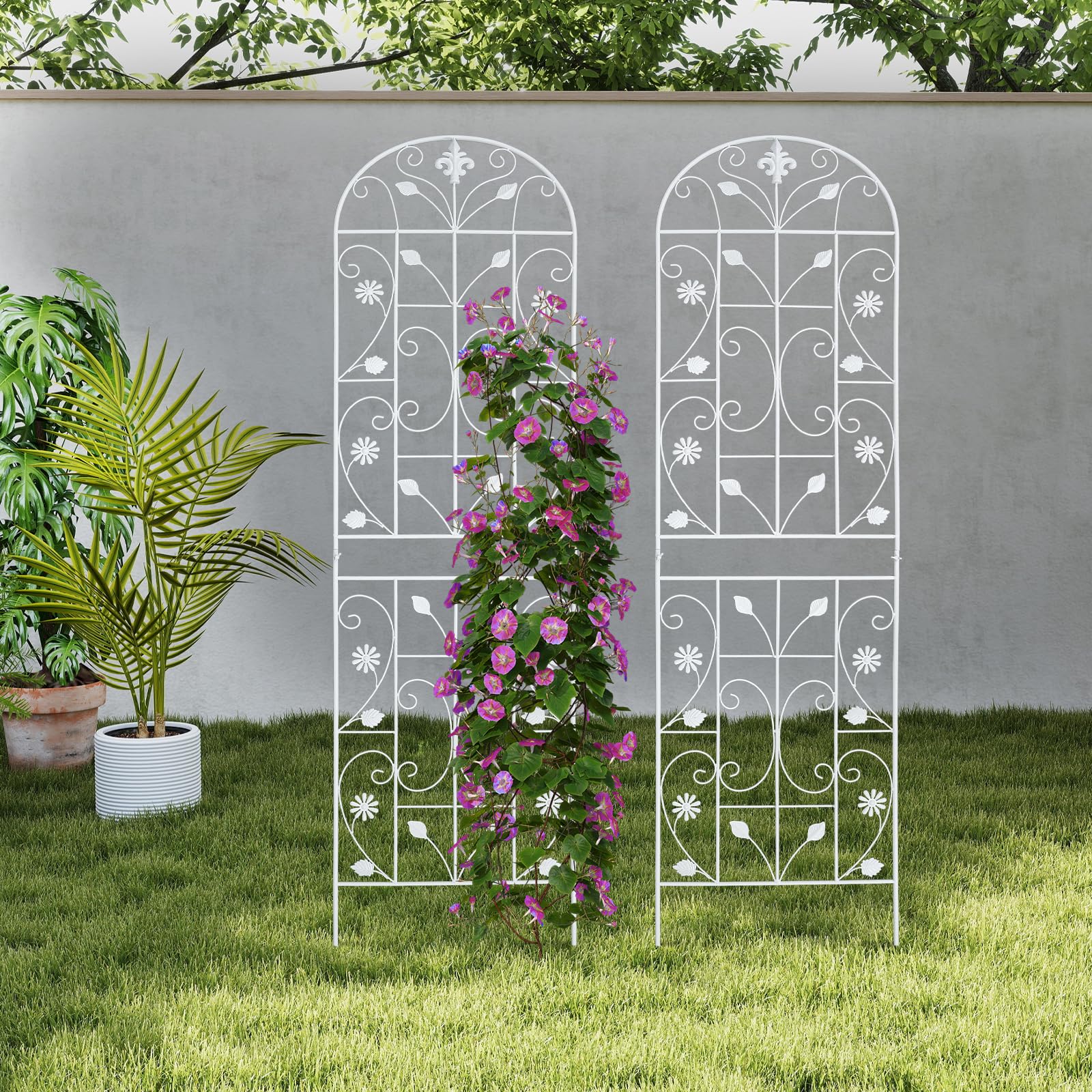 Lot de 2 treillis pour plantes grimpantes - En fer - Pour plantes grimpantes - Décoration extérieure - 180 x 50 cm