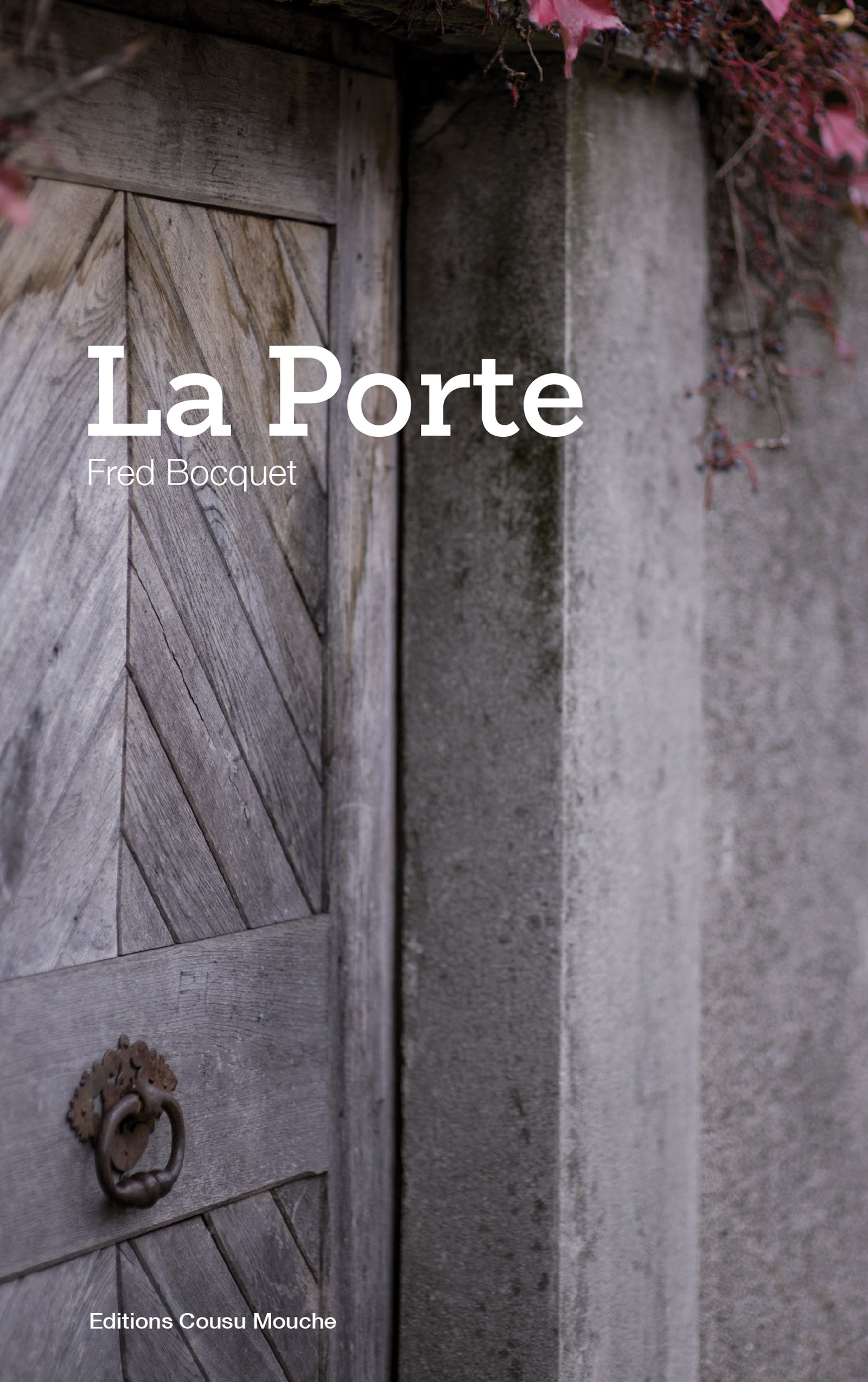 La porte: Un roman sur la fragilité de nos existences (French Edition)