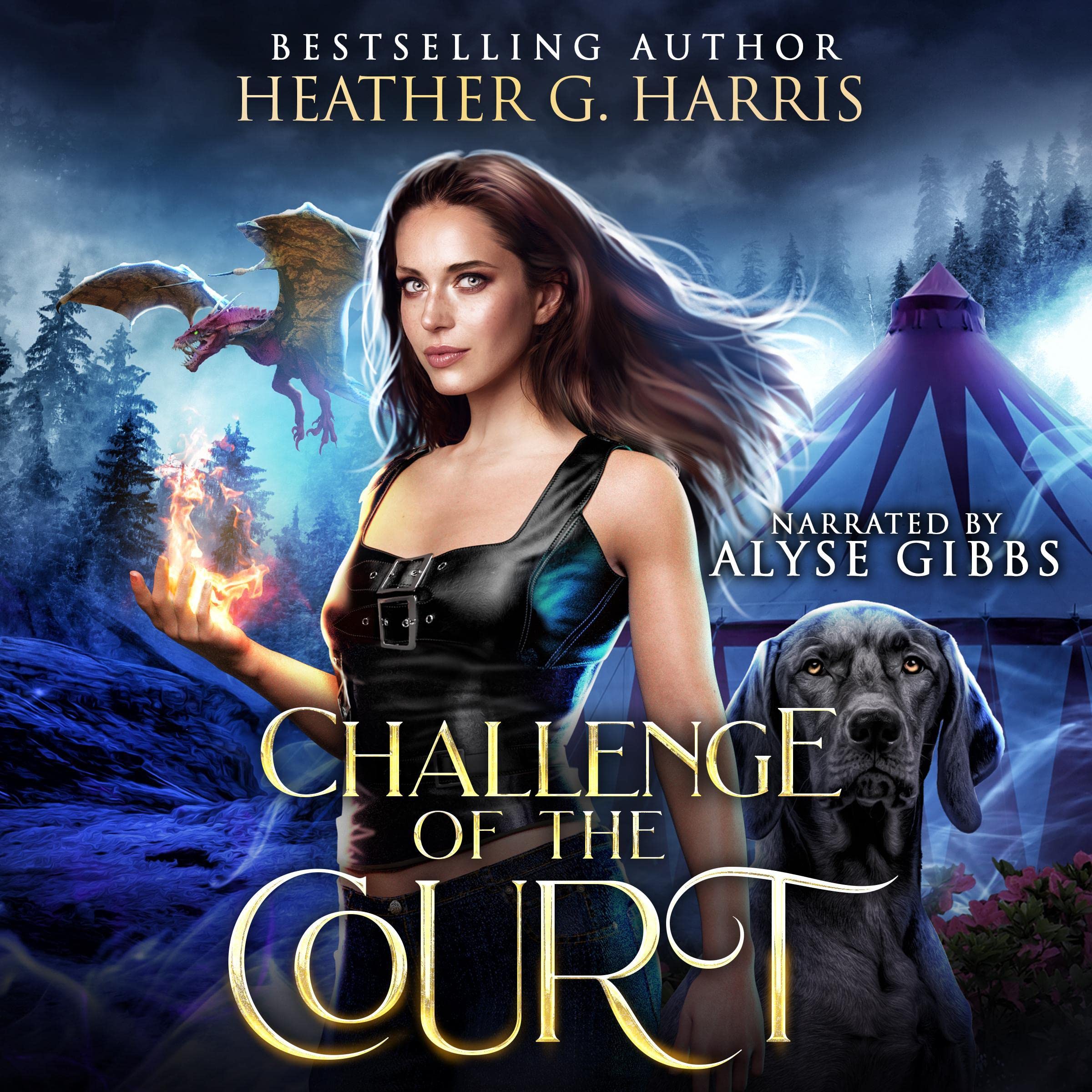 Cover art for Challenge of the Court