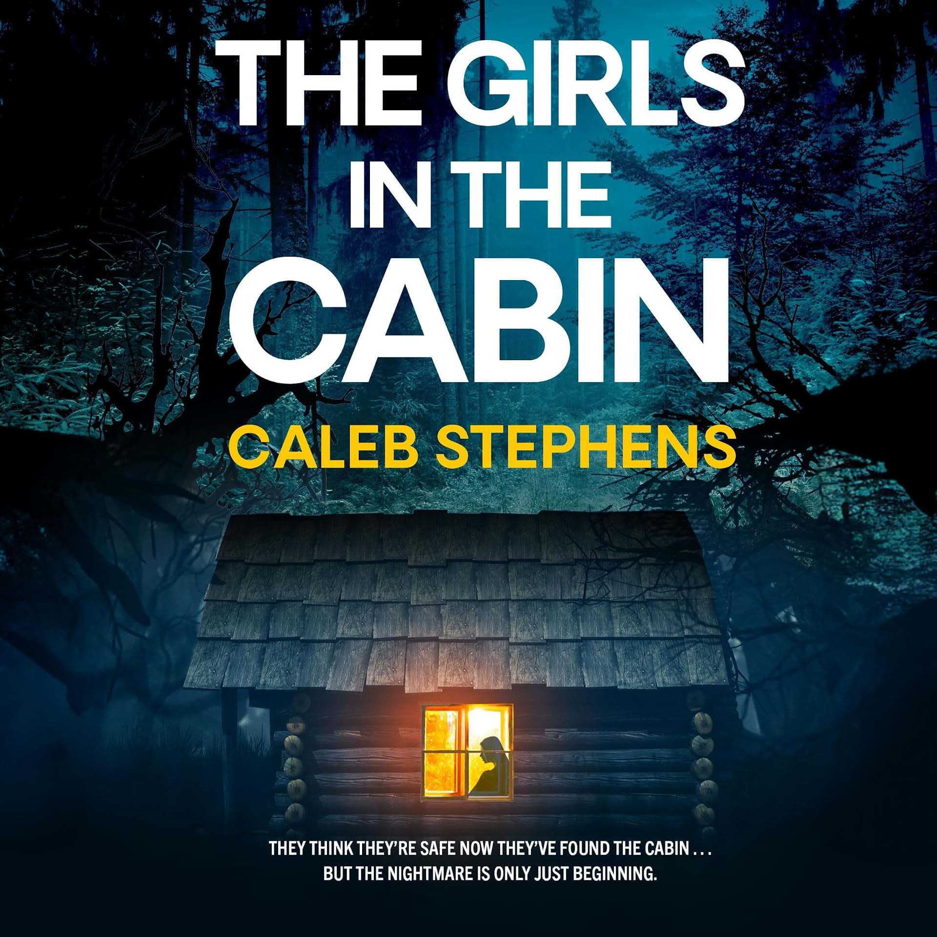 Carousel Item: The Girls in the Cabin