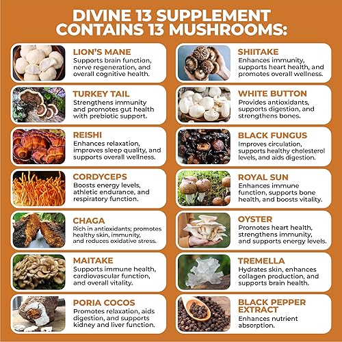 Miniatura 5 de Complejo de extracto de hongos con pimienta negra, melena de león, cordyceps, cola de pavo, chaga, shiitake, maitake, suplementos cerebrales