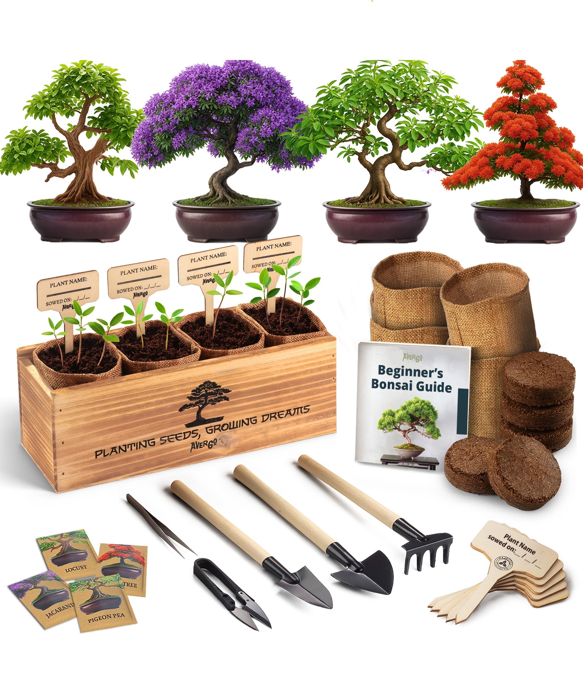 Avergo Bonsai 4X Kit