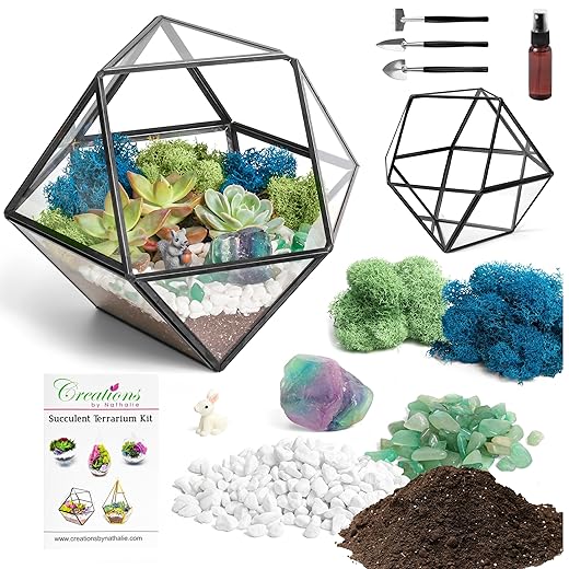 Creations by Nathalie Terrarium Kit for Adults Live Succulent Plant, 7” Geometric Glass Terrarium Decor, Reindeer Moss, Healing Crystal & Rocks, Terrarium Tools, Fairy Garden Figurine, Crystal Chips