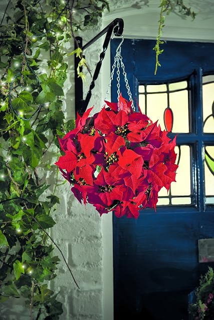 Gardman Christmas Topiary Ball Poinsettia Effect Xmas Festive Fun Decoration
