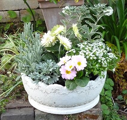 Amazon セラミック寄せ植え鉢 丸型 ラウンドフリル30 30 12h 2196 鉢