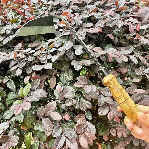 Miniatura 6 de alanx Hoz japonesa de la maleza de la mano de la jardinería de 12 pulgadas, azada de deshierbe con la manija de madera larga