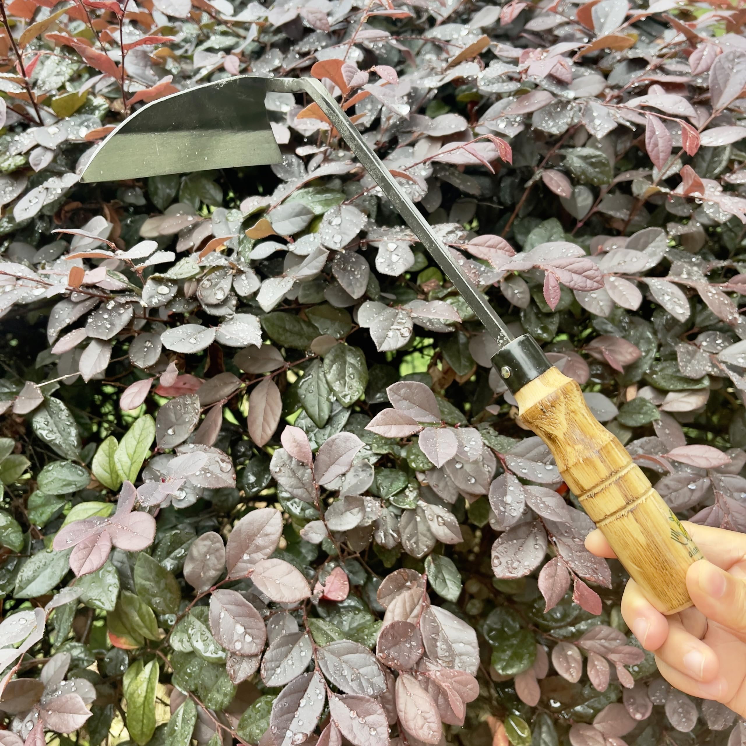 Alanx Faucille de jardinage japonaise de 12 pouces, houe à désherber avec manche en bois long