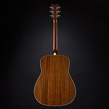Amazon.co.jp: ヤマハ YAMAHA ギター アコースティックギター FG
