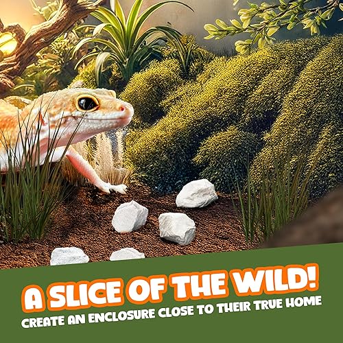 Miniatura 4 de CoCoo - Rocas minerales para leopardo y geckos con cresta, enriquecimiento de reptiles, decoración de terrario, con lima, calcio y oligoelementos, 2