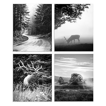 YellowKorner 自然・風景アートプリント 風景のアート写真