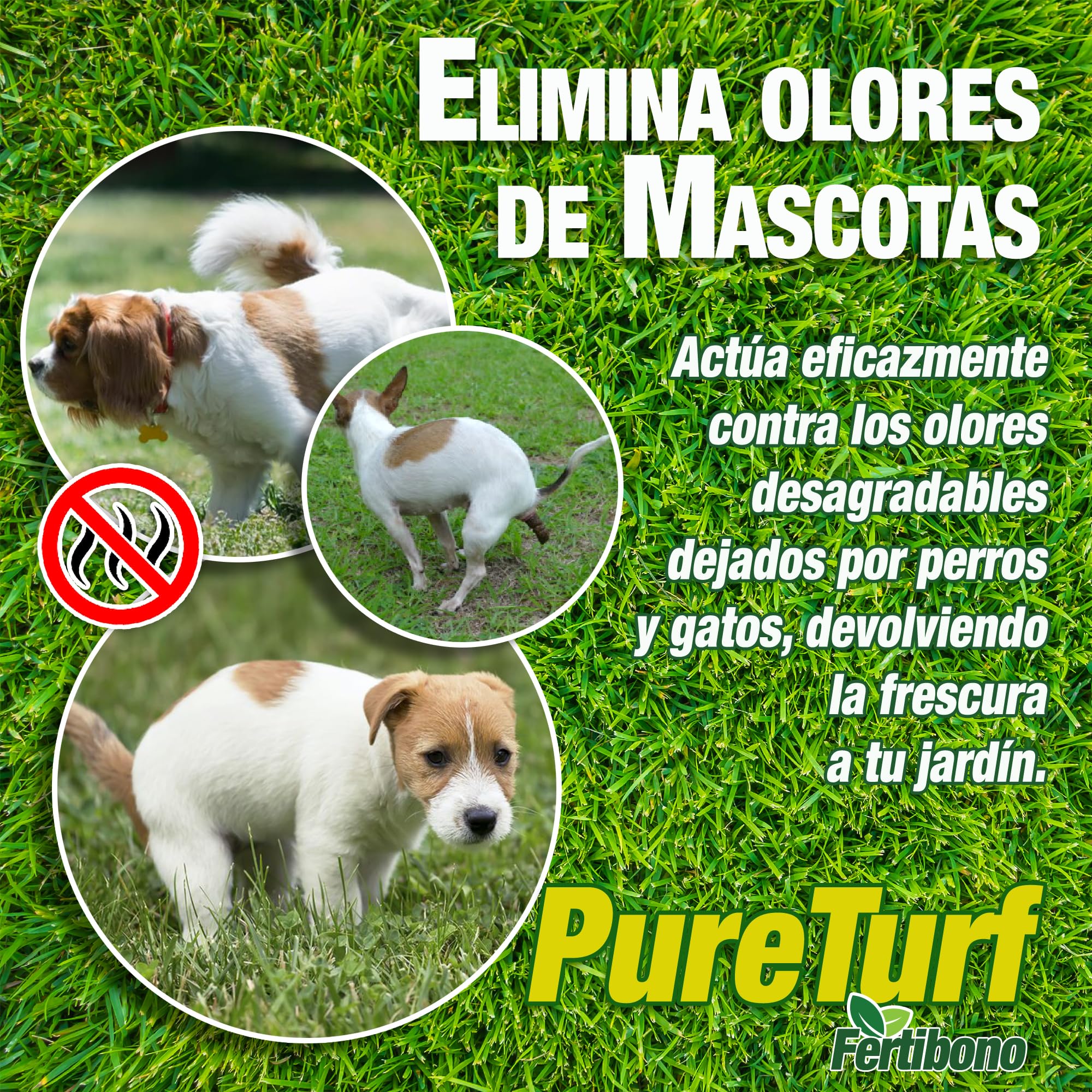 Fertibono PureTurf, Limpiador e Higienizador de Césped Artificial - (750 ml) - Eliminador de Olores de Mascotas, Seguro para Familias