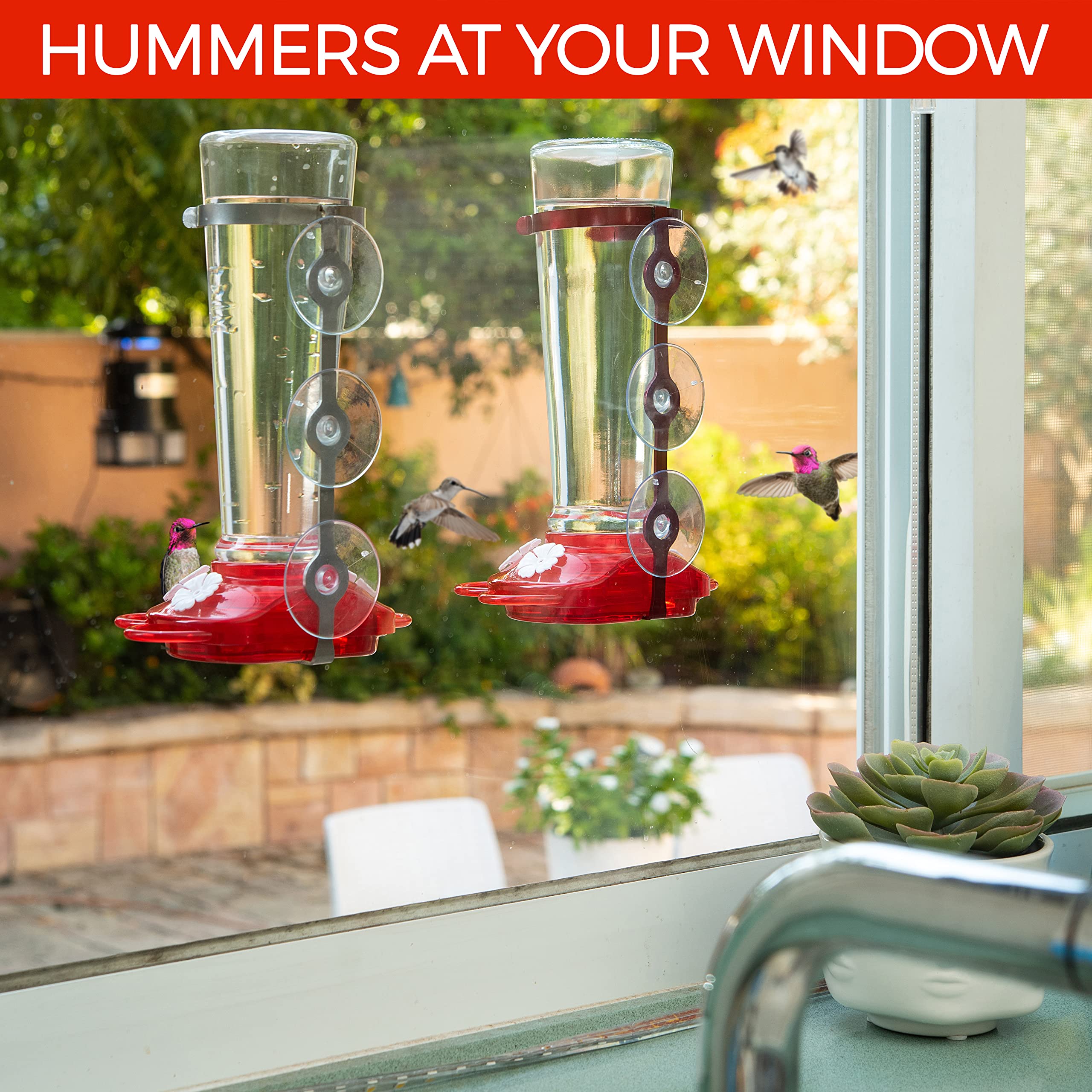 Snapklik.com : Window Hummingbird Feeders For Outdoors Including 3