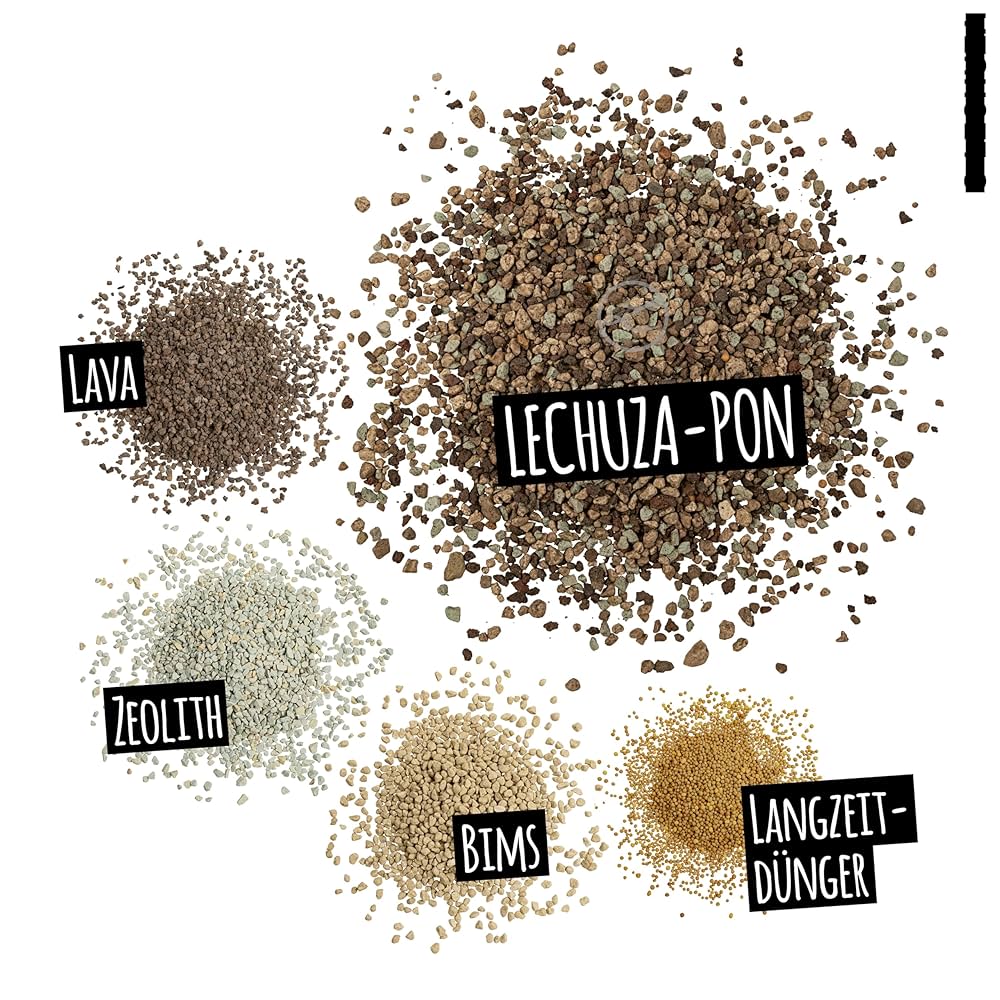 Lechuza Pon 6L Plant Substrate : Amazon.ca: Patio, Lawn & Garden