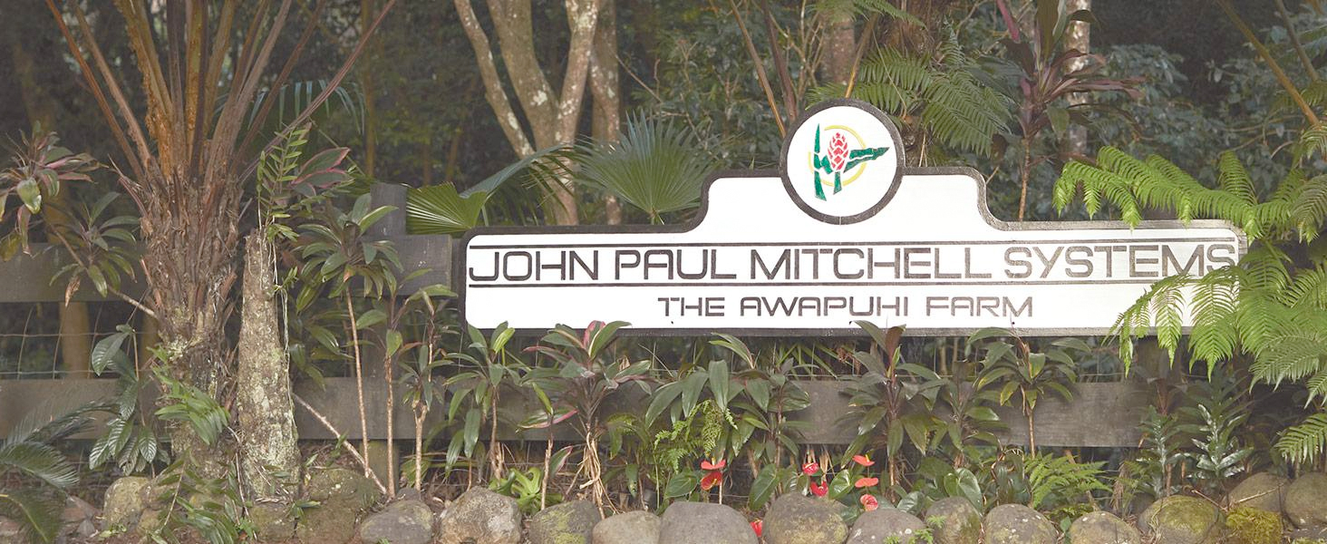 Awapuhi Wild Ginger by Paul Mitchell Styling Treatment Oil, Dry-Touch, Leave-In Formula, For All Hair Types