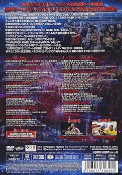 DRAGON GATE 2013  夏の陣  [DVD] DRAGON GATE 2013 夏の陣 [DVD] DRAGON GATE 2013 夏の陣 DVD