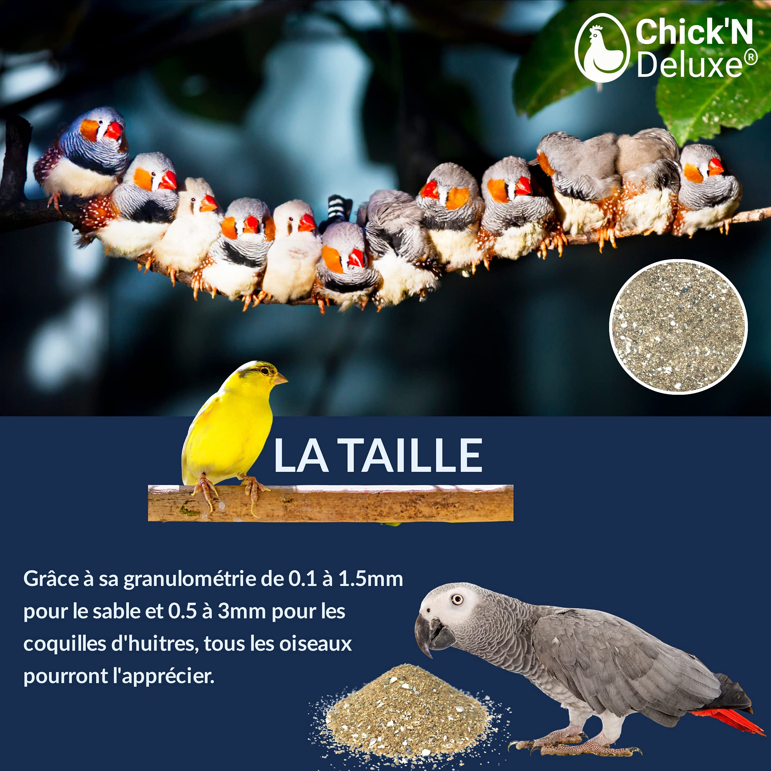 Chick'N Deluxe® Ideal Sand 5Kg. Sable Marin pour Fond de Cage à Oiseaux. Enrichi de coquilles d'huitres broyées et aromatisé à l'Anis. Produit 100% Naturel pour l'hygiène et la santé de Vos Animaux.