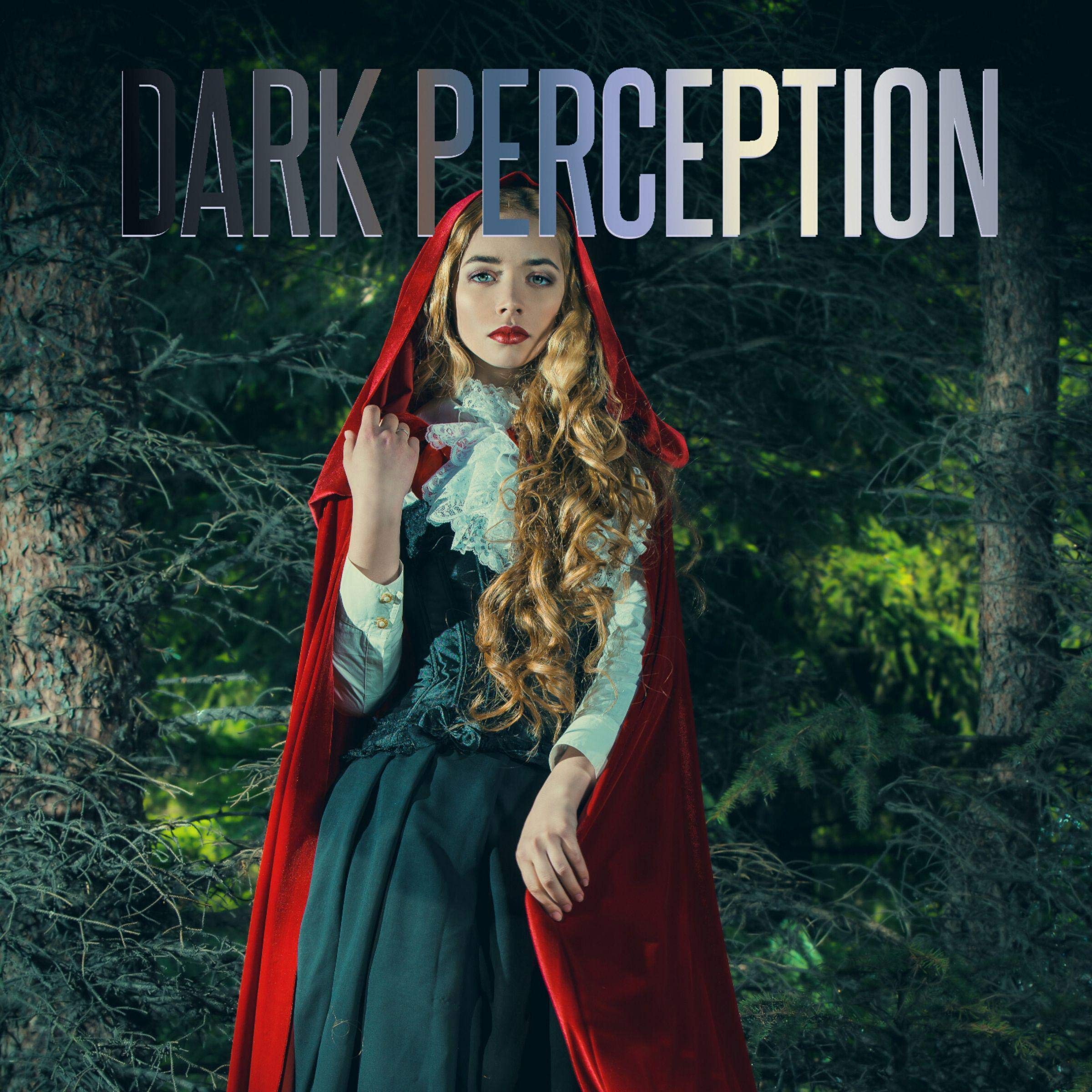 Cover art for Dark Perception