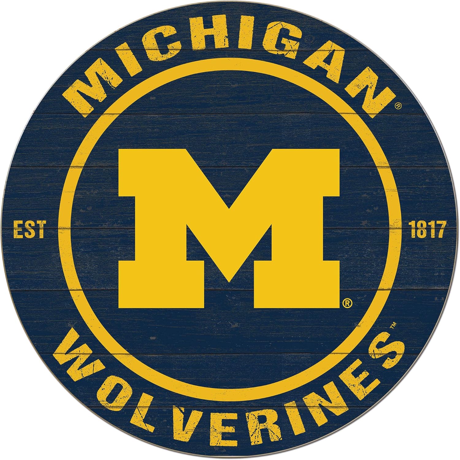 KH Sports Fan Michigan Wolverines 20"x20" Weathered Circle