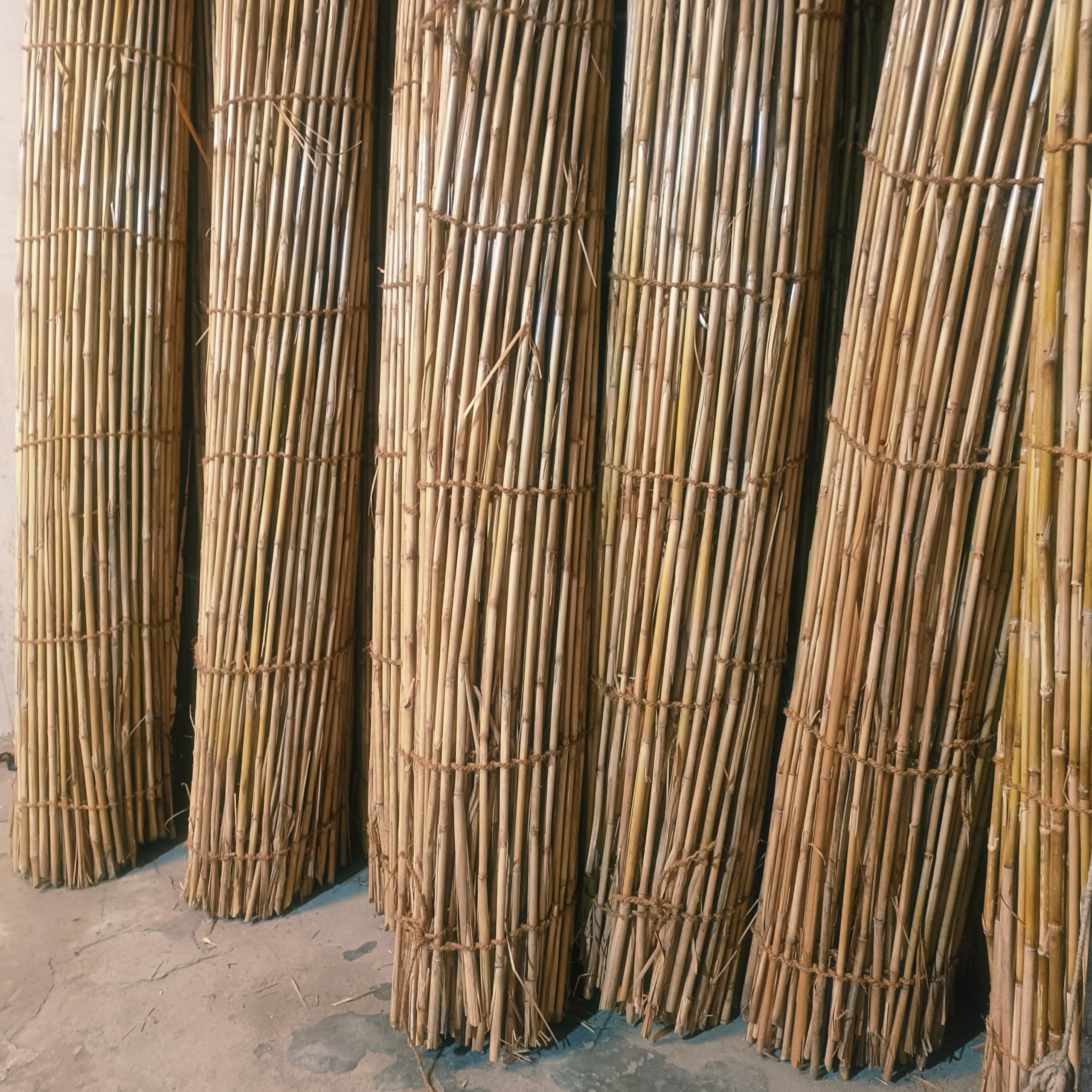 6.5' H x 15' L Reed Privacy Roll — Freestanding Bamboo Fence for Terrace & Outdoor Seating