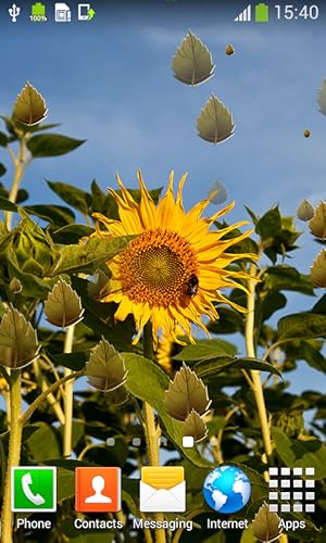 Sunflower Live Wallpapers