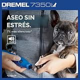 Ver la foto 4