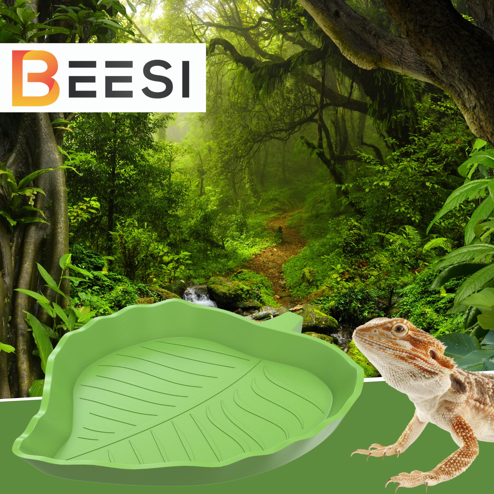 Schildkröten Fressnapf 2-in-1 - Bade- Und Fütterungsbecken Für Reptilien