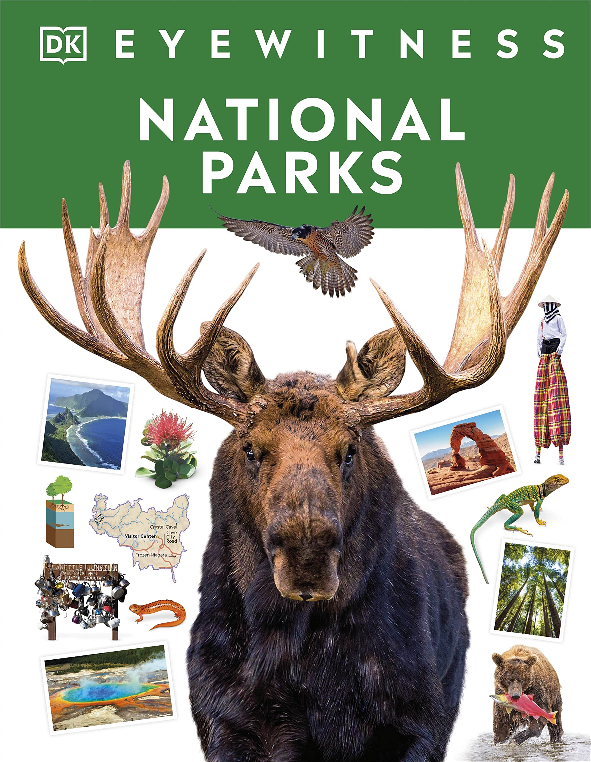 Eyewitness National Parks (DK Eyewitness)