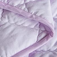 Vista 8 de BEDSUM Edredón 100% de microfibra cepillada para niños pequeños, ultrasuave, ligero y cálido, transpirable, manta acolchada para cuna