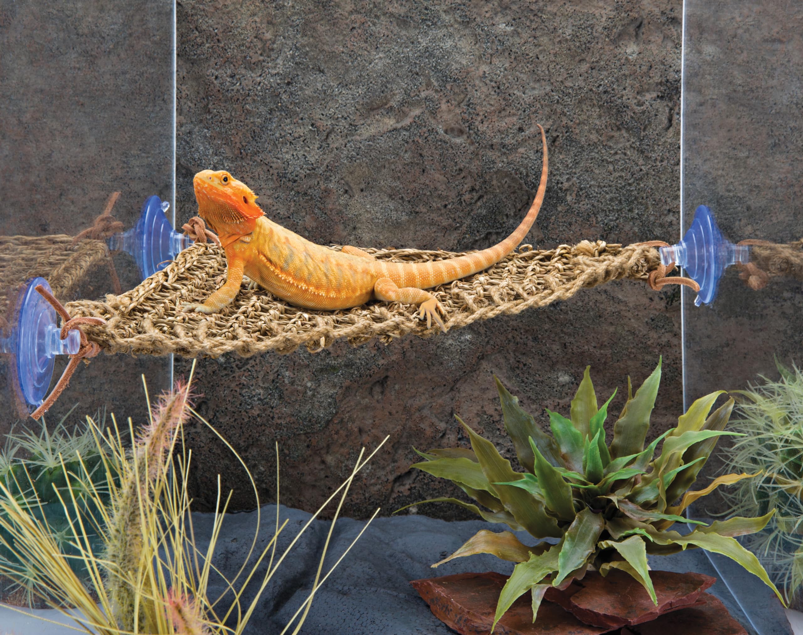 Penn-Plax Reptology - Tumbona Triangular esquinera de Lagarto, 100% Fibra de Hierba Marina Natural, Ideal para Dragones barbudos, Anoles, gecos, Iguanas y Otros Reptiles, pequeña