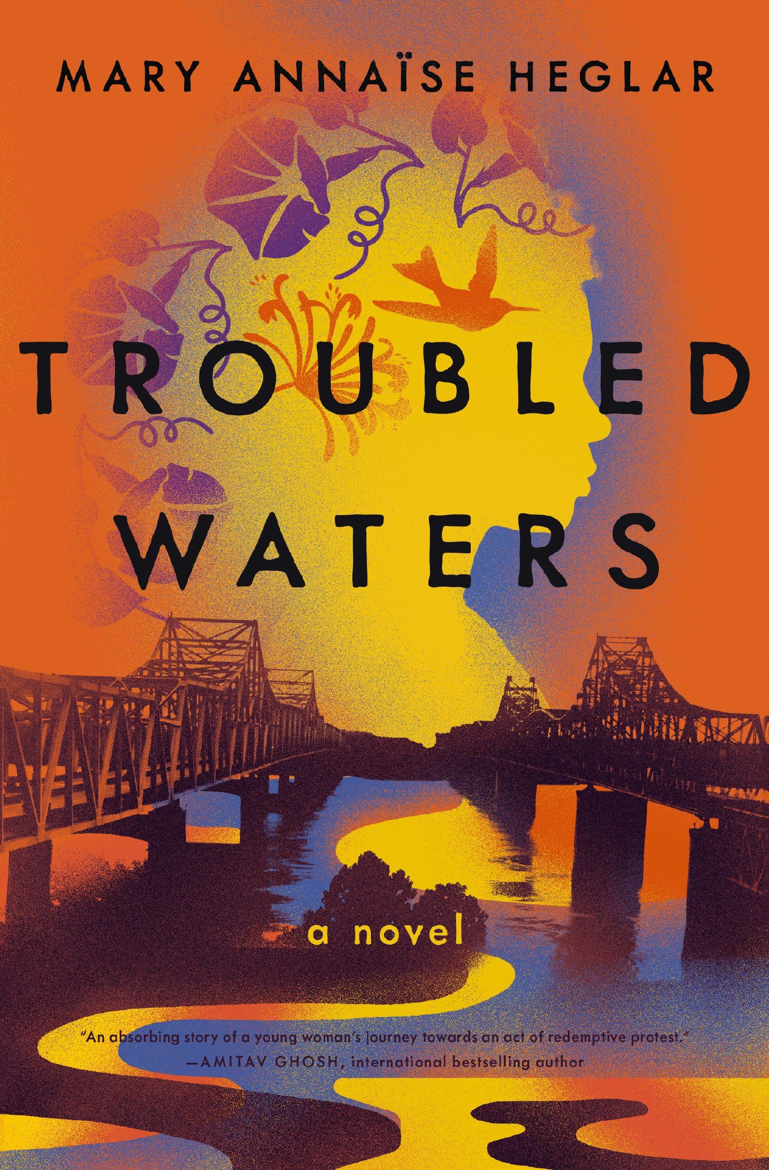 Buy Troubled Waters — BookShops.in