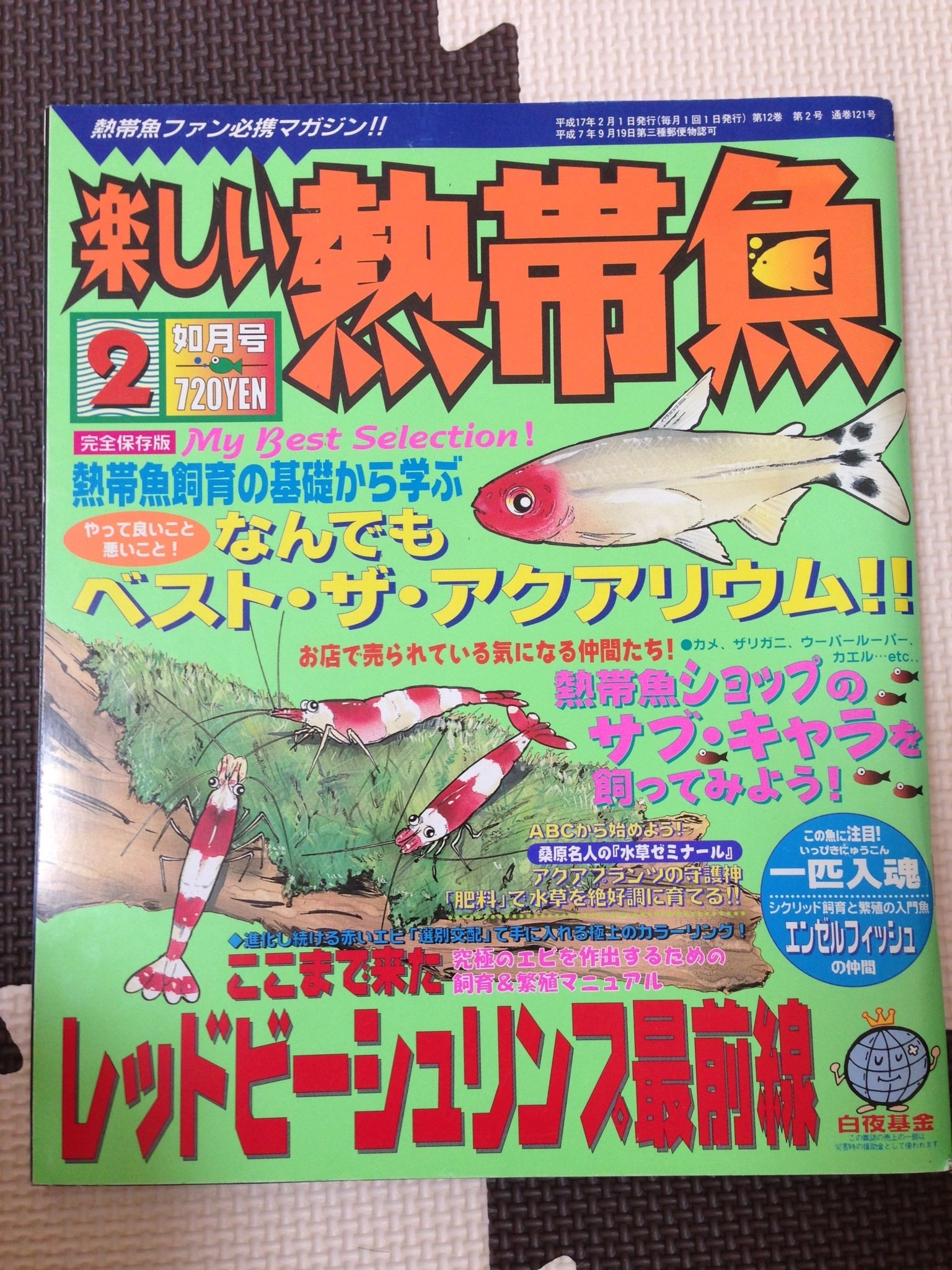 熱帯魚ファン必携マガジン 楽しい熱帯魚 05年2月号 末井 昭 吉武 政宏 本 通販 Amazon 熱帯魚ファン必携マガジン 楽しい熱帯魚 05年2月号 末井 昭 吉武 政宏 本 通販 Amazon