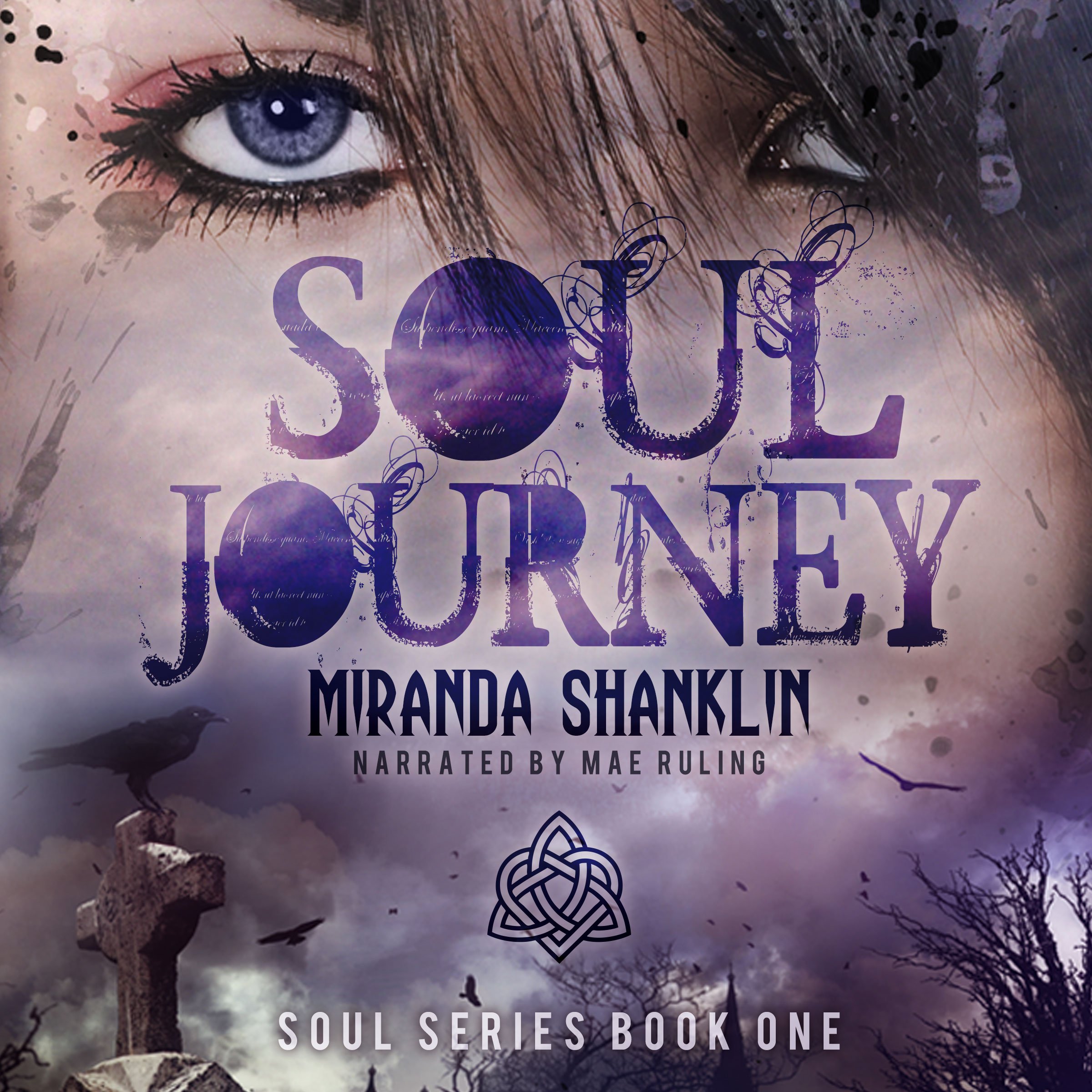 Cover art for Soul Journey