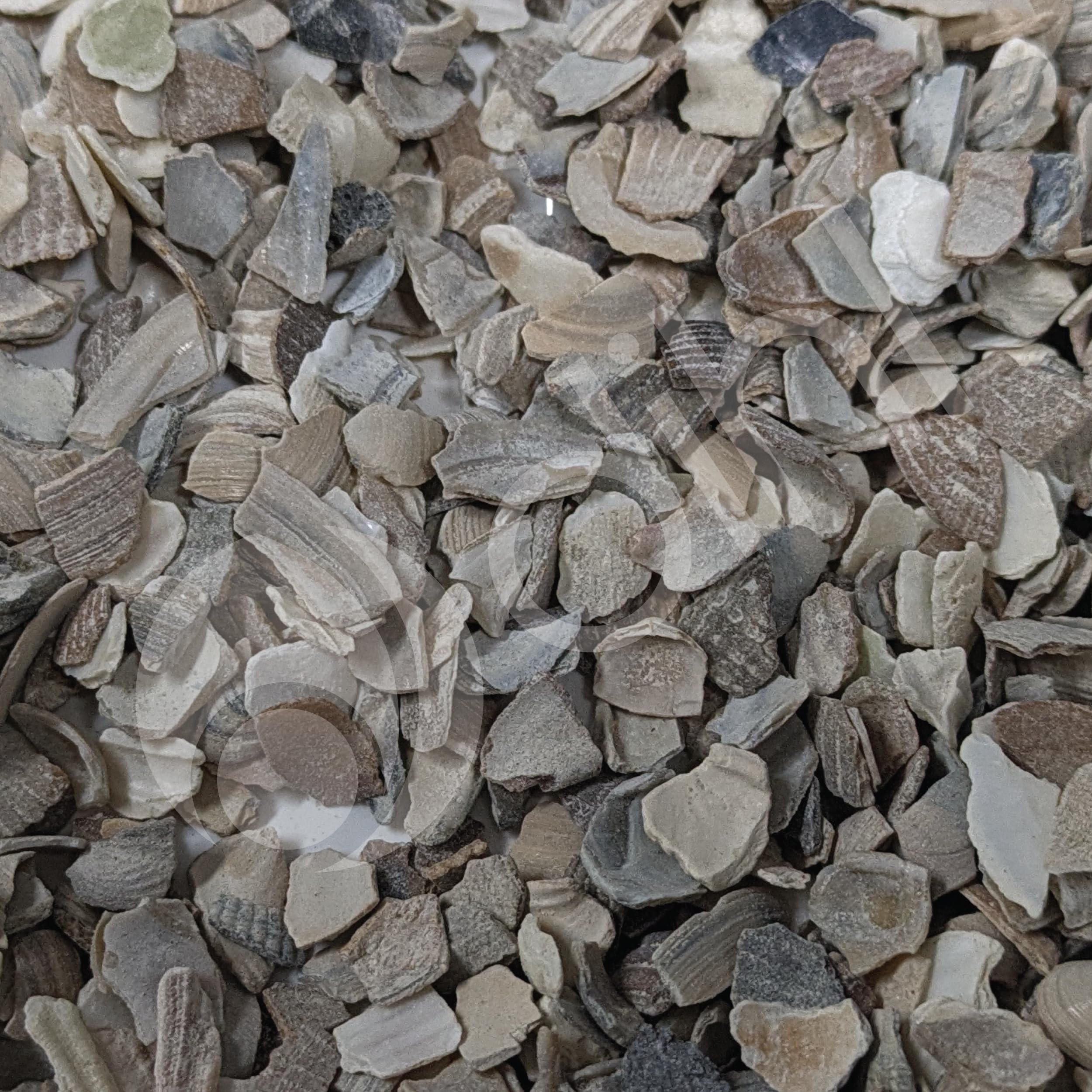 Dihl Poultry Oyster Shell Grit (10 KG)