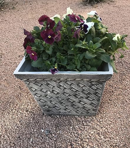 Miniatura 3 de Exaco FM-SBWP - Juego de 2 macetas cuadradas medianas de piedra arenisca lavada