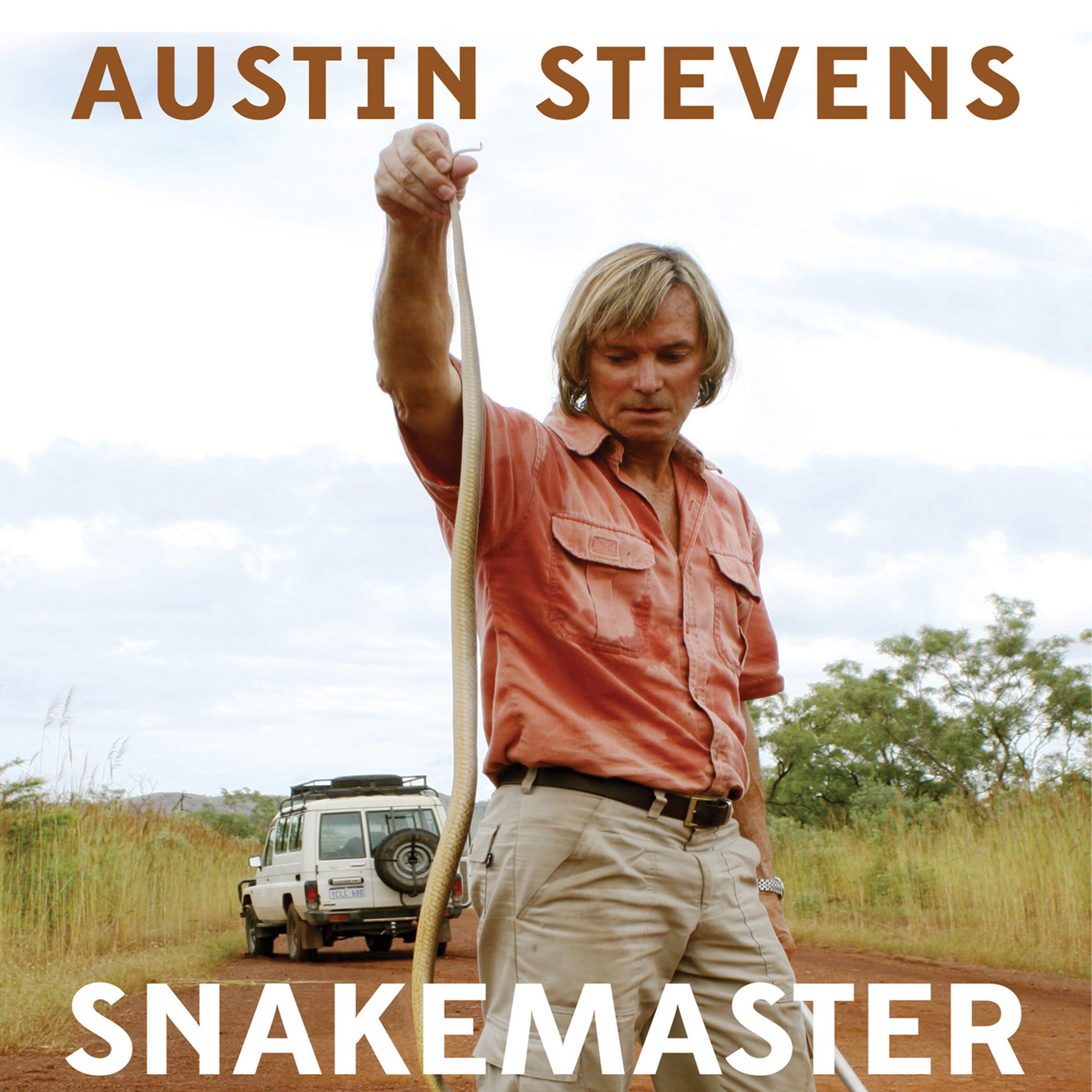 Cover art for Snakemaster