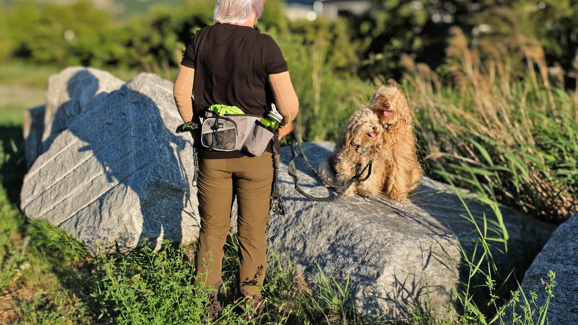 ETACCU Joggingleine Mit Bauchgurt - Hände Frei Beim Gassigehen