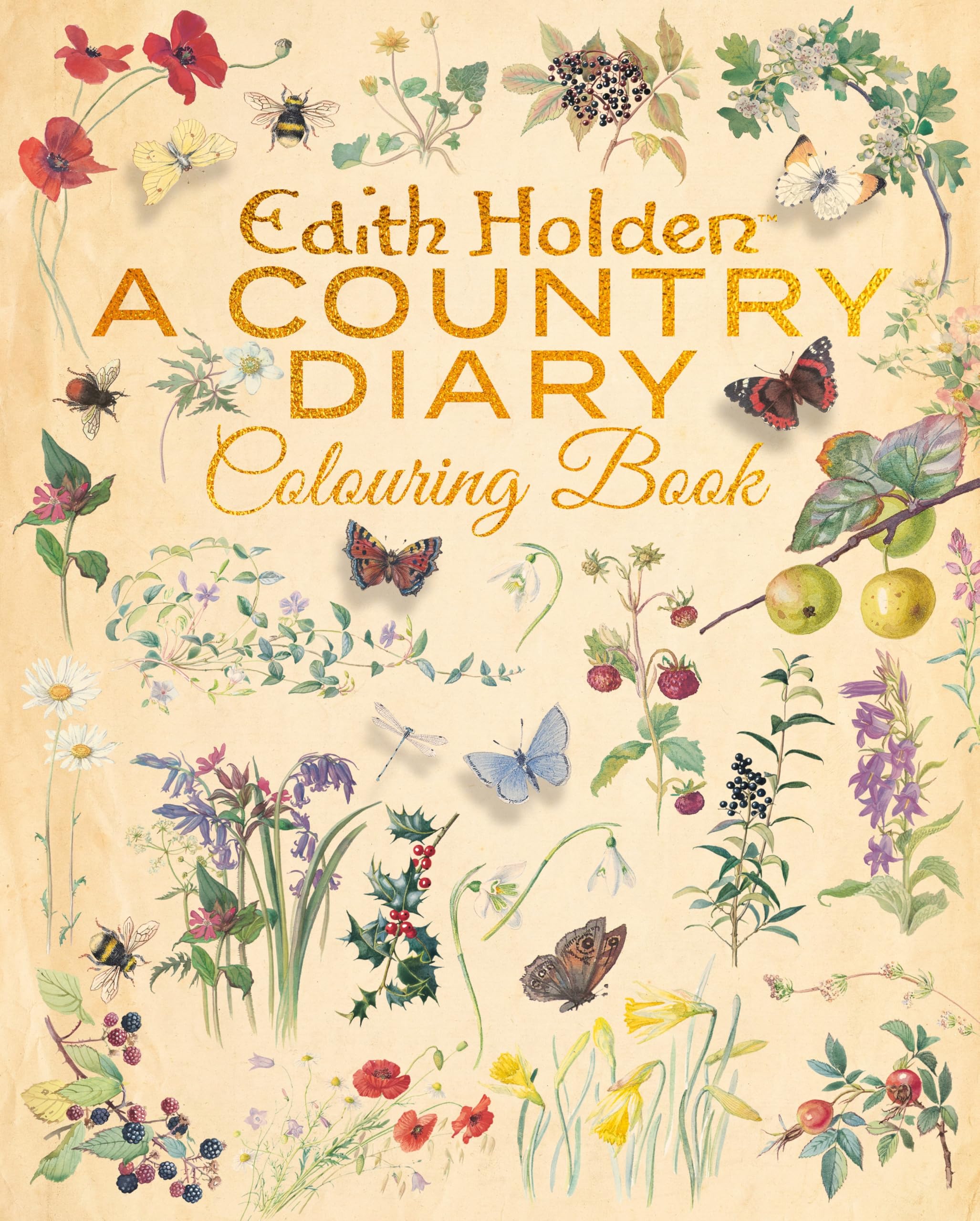 Edith Holden: A Country Diary Colouring Book by Edith Holden (Paperback Book)