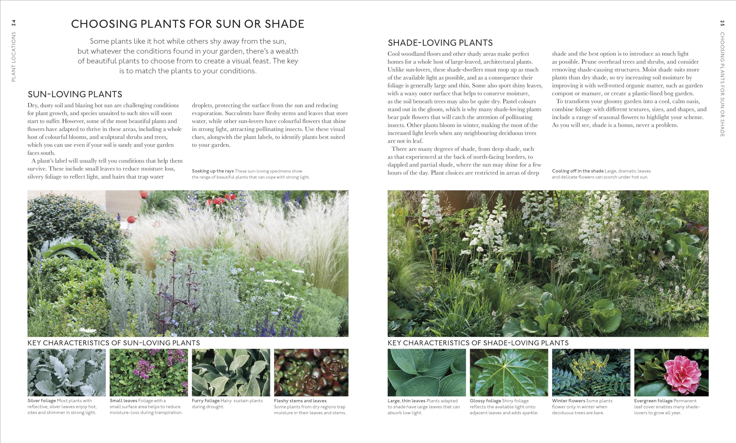 RHS What Plant Where Encyclopedia: An Expert Guide to More Than 3,000 Plants