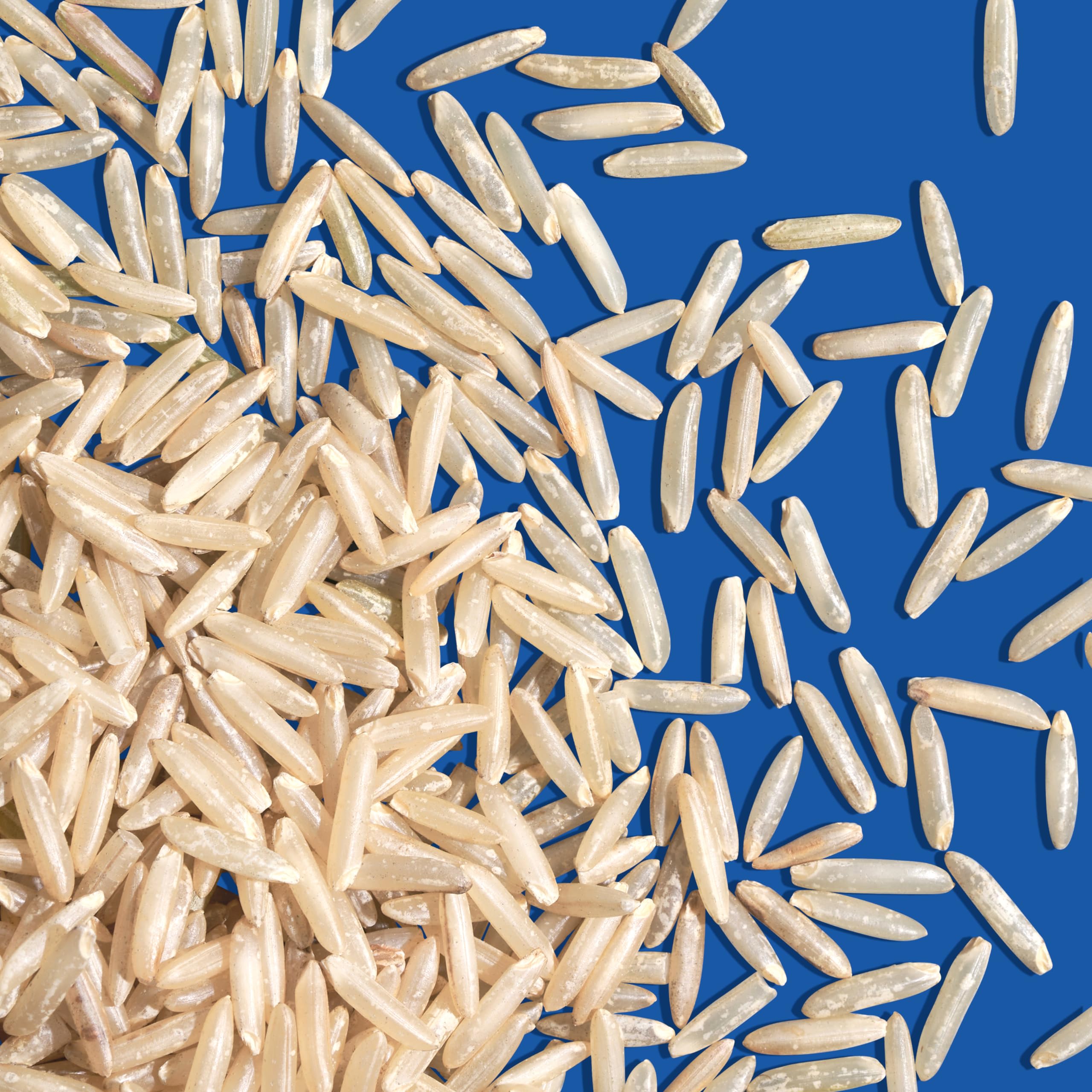 REISHUNGER Vollkorn Bio Basmati Reis – 3 x 3 kg | Ungeschälter Vollkorn-Basmati – Reis in Bio-Qualität Extralanges Korn direkt vom Himalaya – Sehr locker mit kräftigem Biss