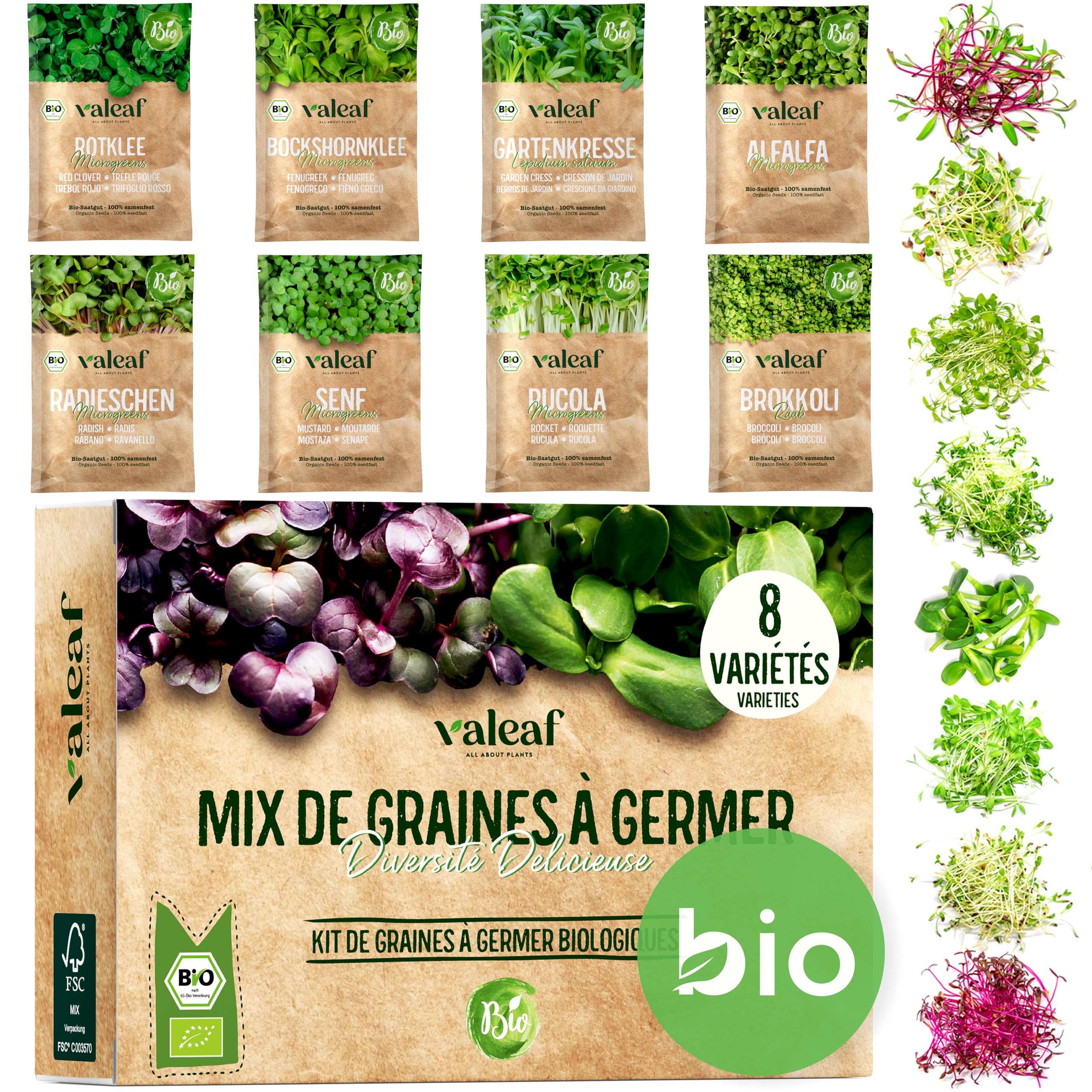 valeaf kit de semences microgreens assortiment