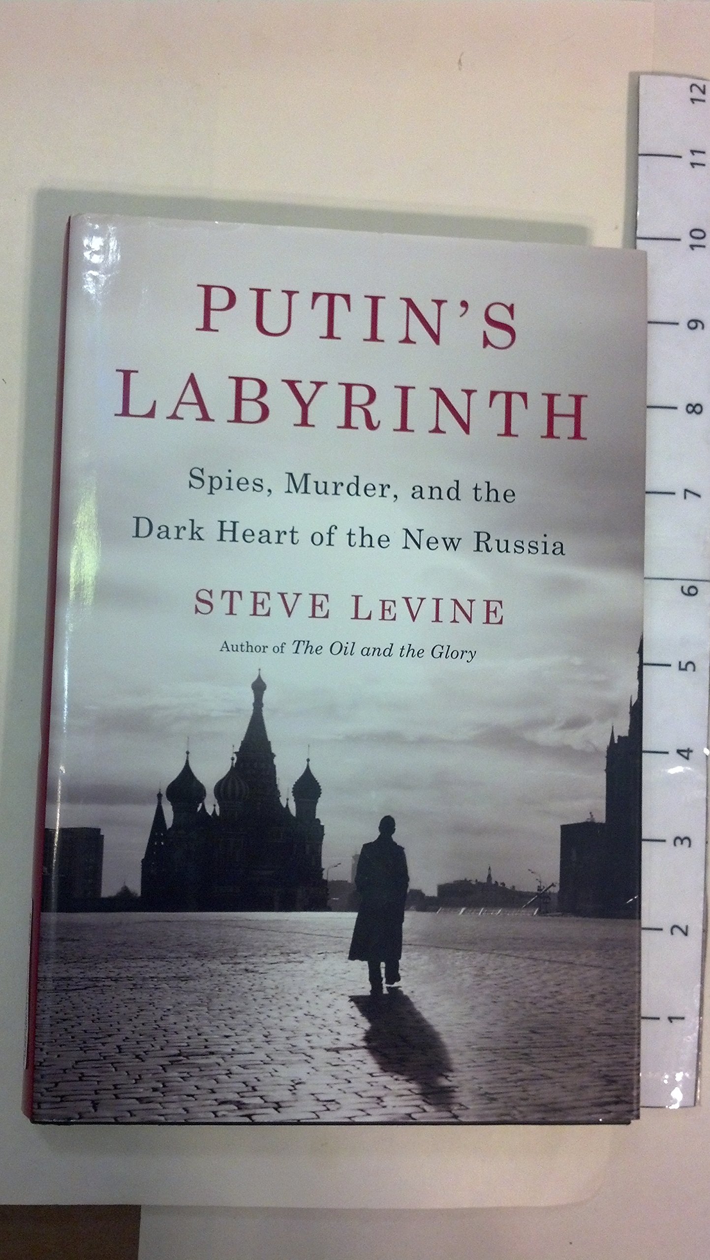 Buy Putin's Labyrinth: Spies, Murder, and the Dark Heart of the New Russia — BookShops.in