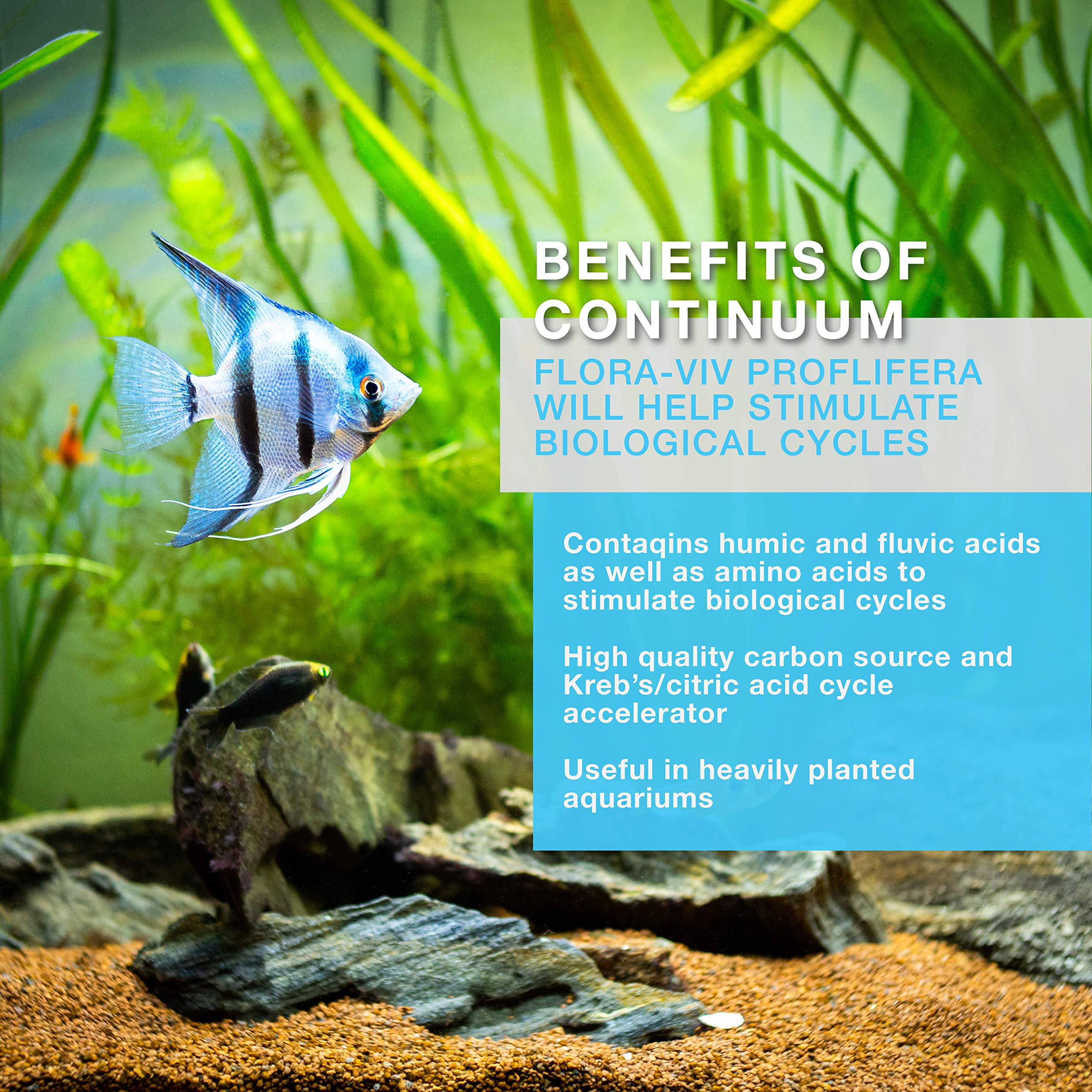Continuum Aquatics Flora Viv Prolifera - Acelerador de ciclo de fuente de carbono y Krebs para acuarios plantados en agua dulce