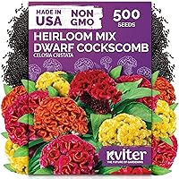 Vista 9 de KVITER 25 semillas de algodón blanco para plantar (Gossypium hirsutum) – Planta de algodón real, semillas de algodón para cultivo, semillas