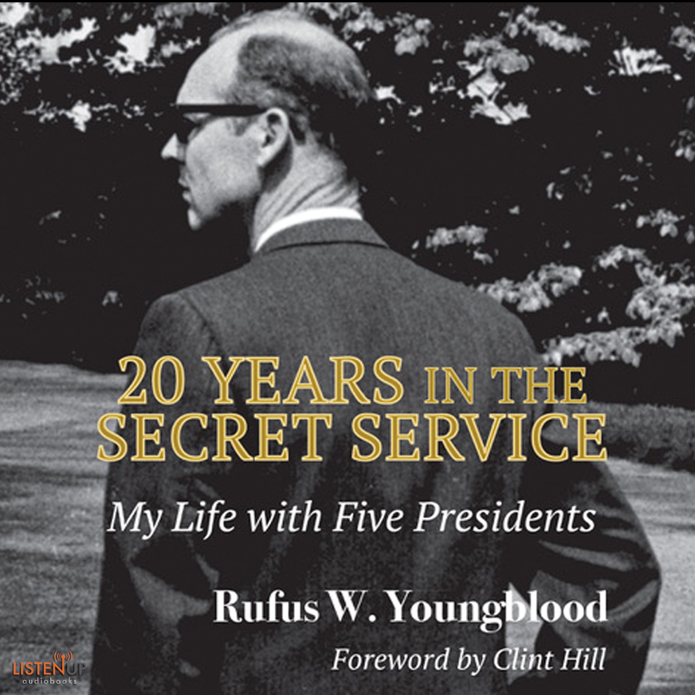 Cover art for 20 Years in the Secret Service: New Edition